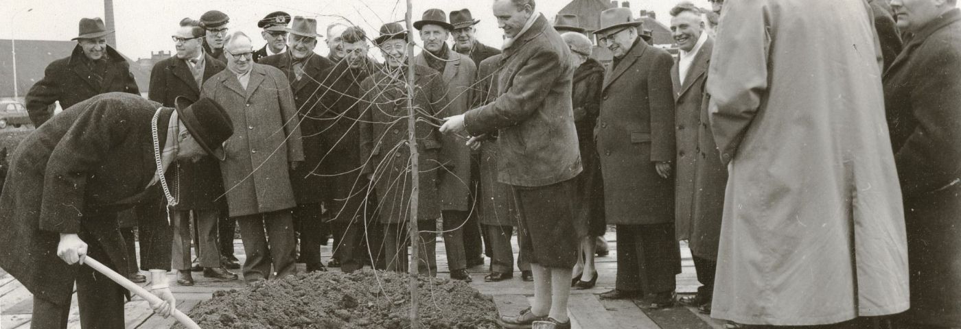 <p>Burgemeester Romijn (links) plant de eerste boom van het Winschoter Stadspark. - Foto: Stichting Oud Winschoten</p>
