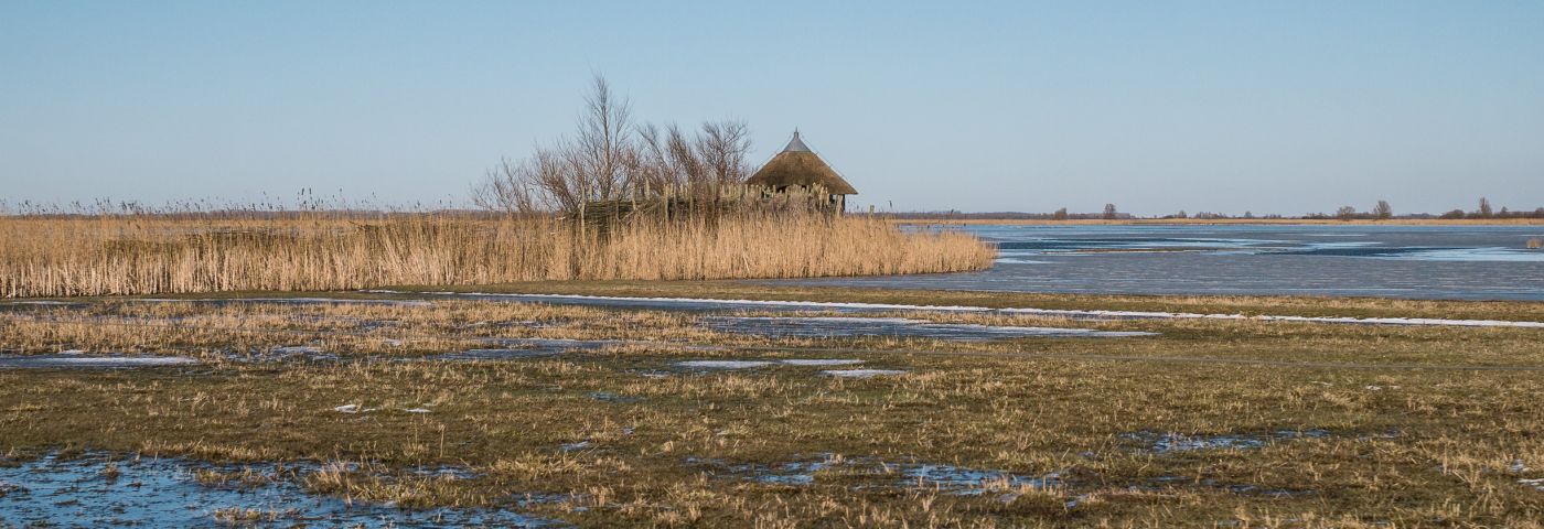 Biezen, drainage en damwanden: het Lauwersmeer ingericht