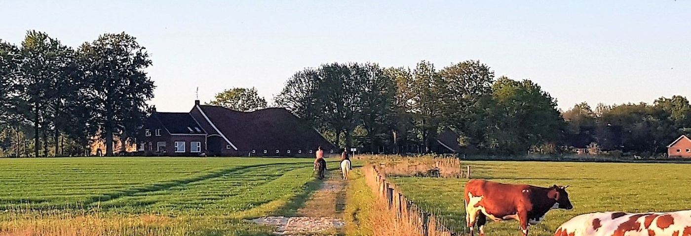 Sterenborg, buurtschap en familie 