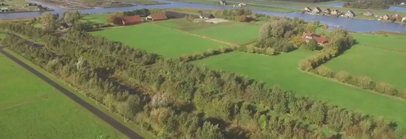 Heringedeeld Groningen