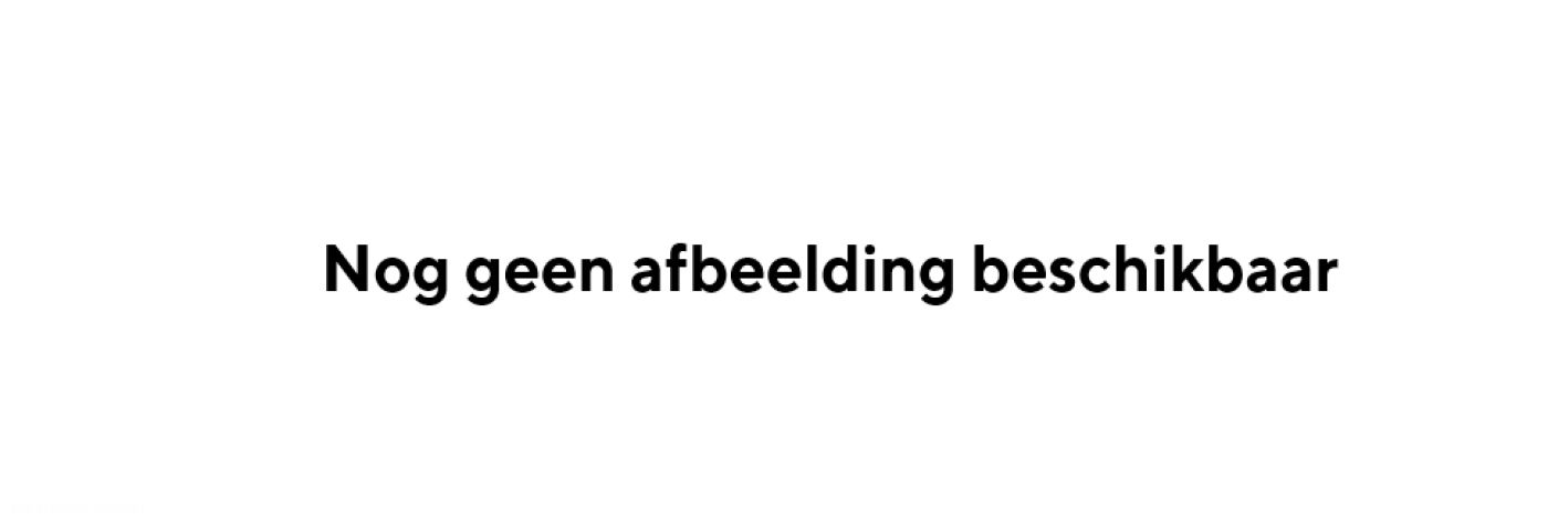 Neergestorte bommenwerper