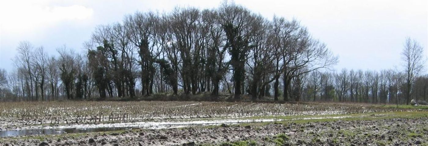 Verbrande heksen te Westerwolde