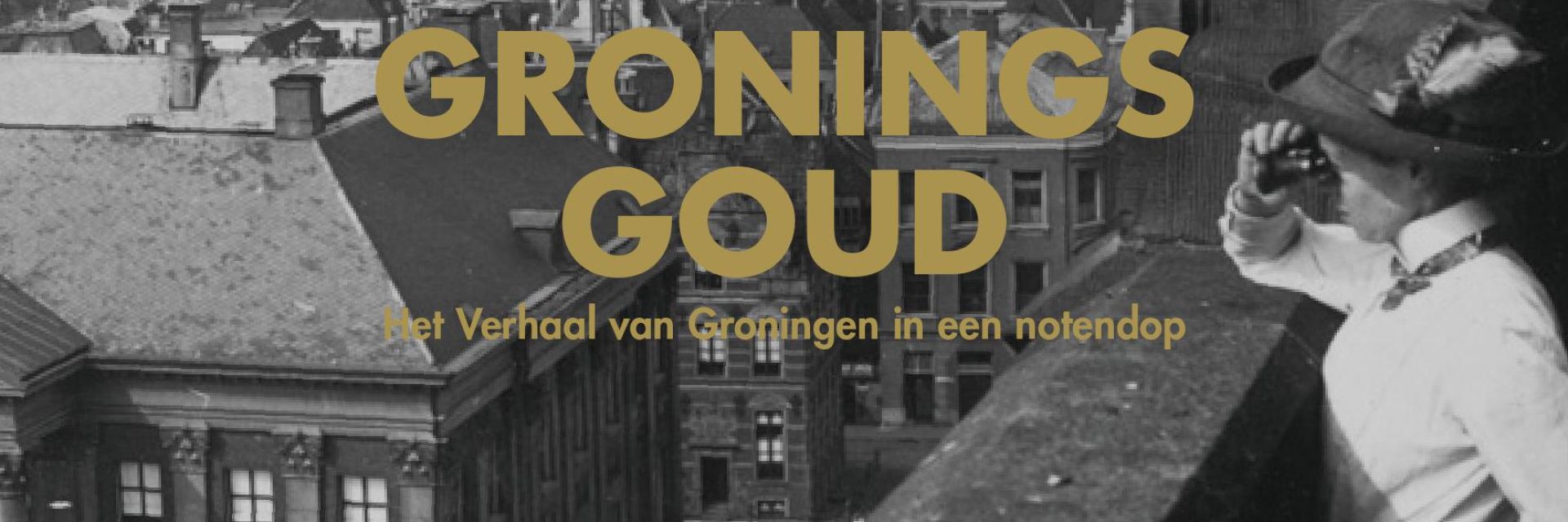 Gronings Goud: Het Verhaal van Groningen in een notendop