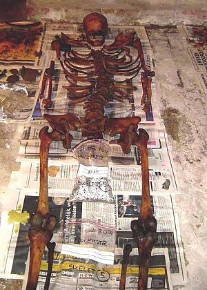<p>Een vrijwel compleet skelet, in 2001 bij opgravingen in Winsum gevonden. &ndash; Foto: Historische Vereniging Winsum-Obergum</p>
