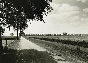 <p>Een landweg in de Johannes Kerkhovenpolder. - Foto: bron onbekend</p>
