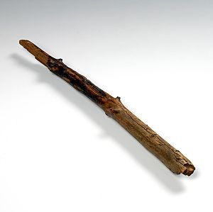 Een vermolmd stuk hout is alles wat rest van de vrijheidsboom. - Collectie Groninger Museum