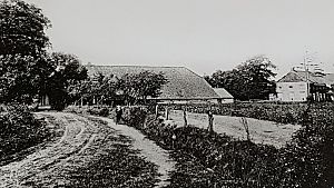 <p>Sterenborg na de herbouw van de beide boerderijen, aan de overzijde van de weg. - Foto: bron onbekend</p>
