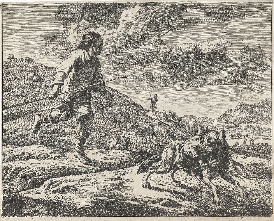 <p>Een herder achtervolgt een wolf die er vandoor gaat met een lam. Ets van Johan le Ducq, 1639 &ndash; 1677. &ndash; Collectie Rijksmuseum</p>
