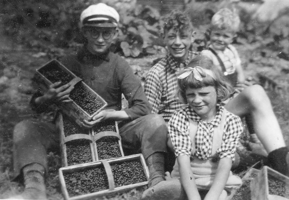 <p>Kinderen helpen mee met de bessenoogst, ca. 1955. &ndash; Foto: Historische Vereniging gemeente Bedum</p>
