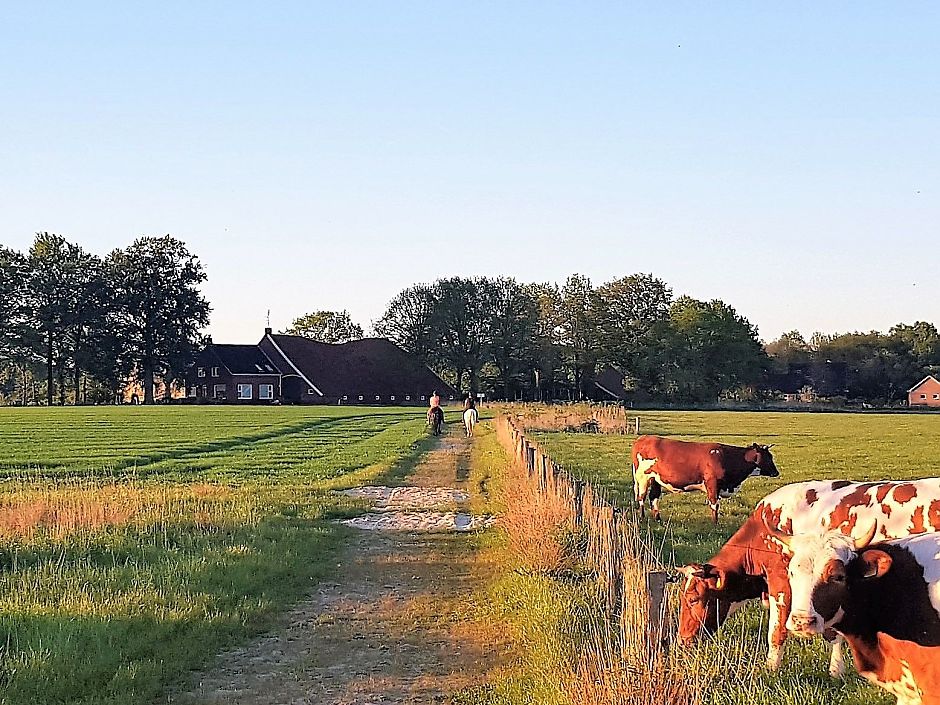 <p>Het recent aangelegde natuurpad naar Sterenborg. Op de achtergrond de boerderij met het voorhuis uit 1962. Het dak van de schuur is zichtbaar in verval. - Foto: auteur</p>
