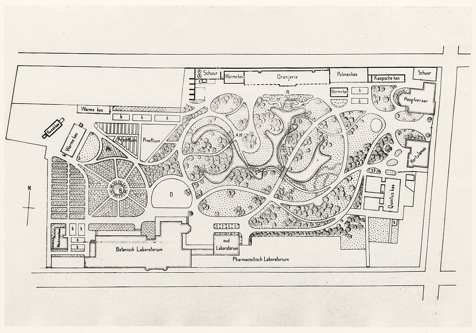 <p>Plattegrond van de Hortus Botanicus, ca. 1930-1939. - Vervaardiger onbekend, Groninger Archieven</p>
