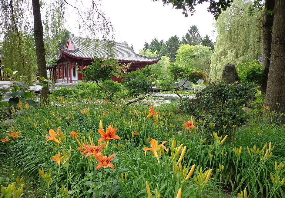 <p>De Chinese tuin met het paviljoen. - Foto Marketing Groningen</p>
