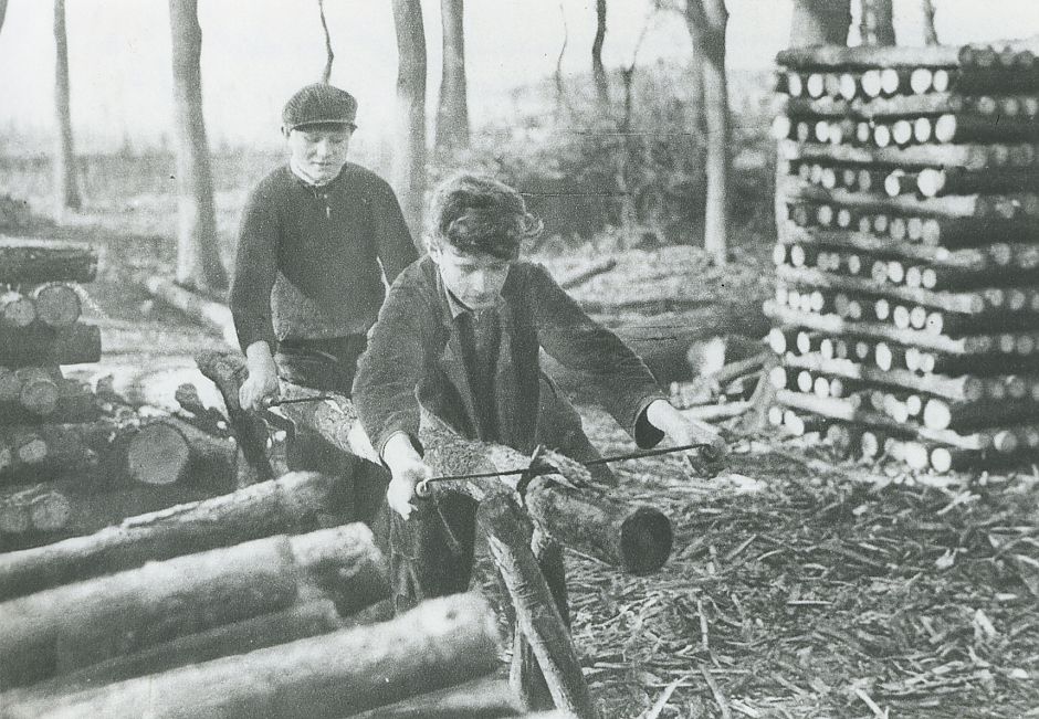<p>Jonge arbeiders aan het werk voor de Stad in de bossen van Ter Apel, ca. 1920-1930. &ndash; Foto: Collectie Streekhistorisch Centrum Stadskanaal</p>
