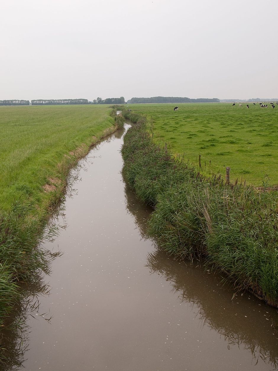 <p>Het Helwerdermaar. - Foto: Jeroen Hillenga</p>
