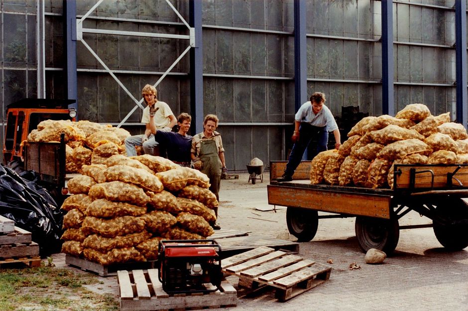 Daan Huizinga (midden) met zijn collega's bij het uitladen van zakkenvol tulpenbollen die de grond in moesten voor de Tulpenhof, najaar 1991. - Foto: archief Hortus Haren.
