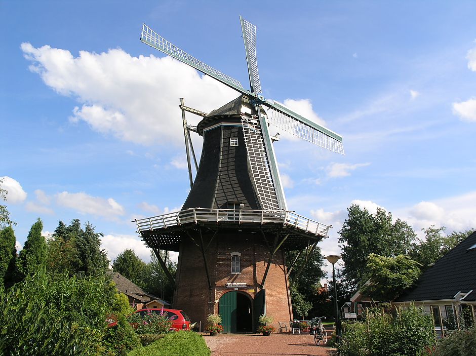 <p>Molen 'De Korenbloem' in volle glorie. - Foto: Wikimedia Commons</p>