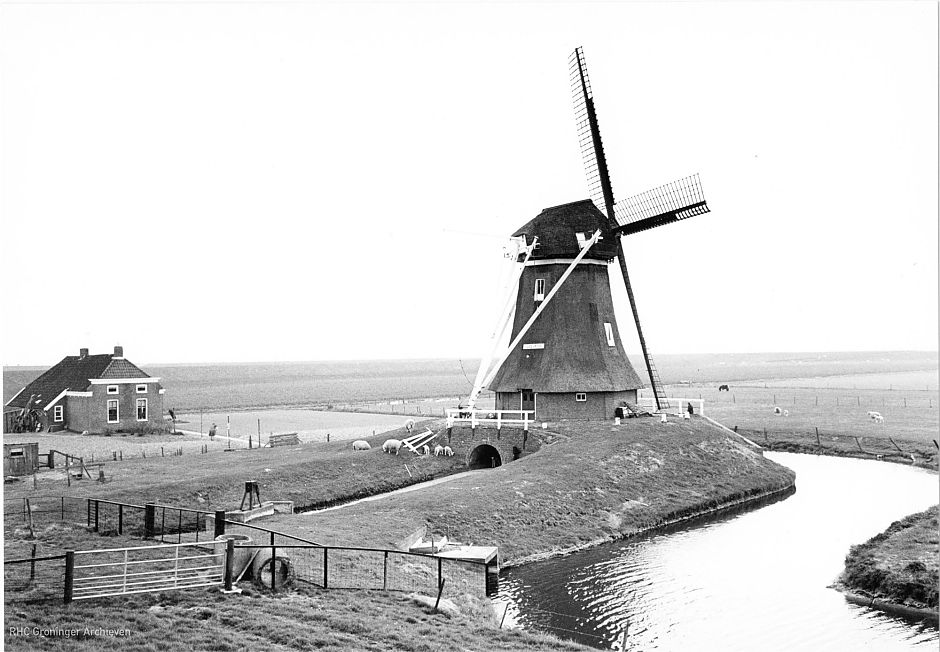 <p>Molen de Goliath in 1973. - Foto: M.A. Douma, www.beeldbankgroningen (818-15400)</p>
