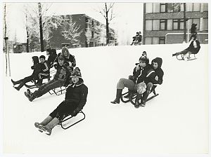 <p>Kinderen spelen in Lewenborg in de sneeuw, 1979. &ndash; Foto: persfotobureau D. van der Veen, collectie Groninger Archieven</p>
