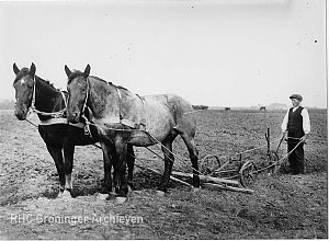 Boer met ploeg en tweespan, ca. 1914.  Foto: collectie Kramer, www.beeldbankgroningen.nl 818-19592