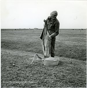 <p>Een arbeider strooit kunstmest uit een jute zak in een draagbak, ca. 1965. - Foto: www.beeldbankgroningen.nl (2138-2317)</p>
