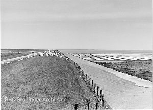 <p>Landaanwinning bij de Lauwerszeedijk. - Foto: collectie Groninger Archieven 818-9273</p>
